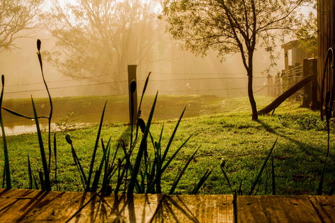 Tobruk Sydney Farm Stay - Kawana Tourism 1