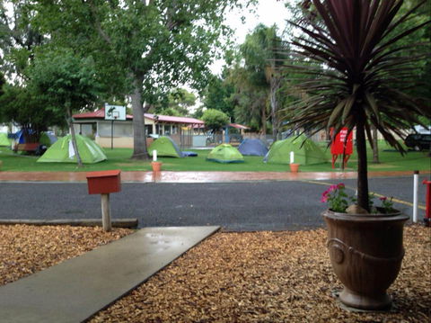Young Caravan Tourist Park - Kawana Tourism 0