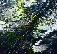 Aldgate Valley Bed and Breakfast - Kawana Tourism