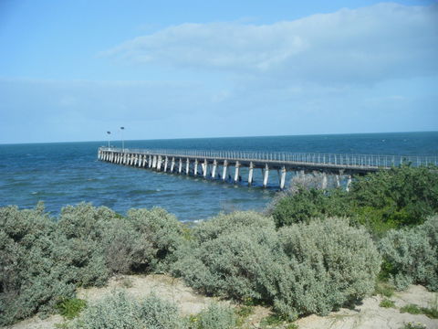 Haslam Campground - Kawana Tourism 0