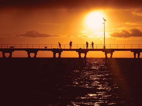 Haslam Campground - Kawana Tourism 1