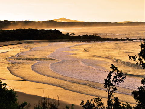 Minnie Water Holiday Park - Kawana Tourism 1