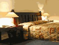 Comfort Inn Treetop Walk - Kawana Tourism