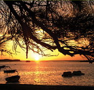 Pelican's Nest - Kawana Tourism