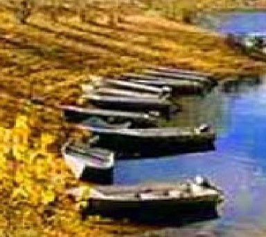 Anglers Reach Caravan Park - Kawana Tourism 2