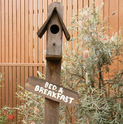 Ashby NSW Kawana Tourism