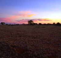 Wogarno Homestead - Kawana Tourism