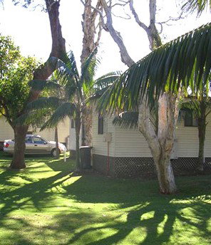 Arrawarra Beach Holiday Park - Kawana Tourism 1