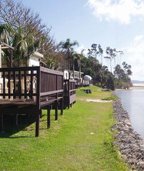 Arrawarra Beach Holiday Park - Kawana Tourism 2