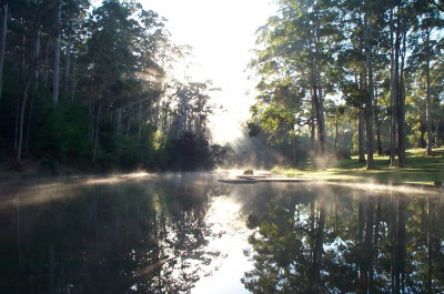 Pemberton Camp School - Kawana Tourism 3