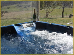 Henlie Park Bed & Breakfast - Kawana Tourism 1