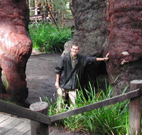 Walpole Lodge - Kawana Tourism