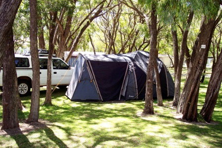 Amblin Caravan Park - Kawana Tourism 1