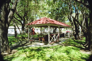 Amblin Caravan Park - Kawana Tourism 2
