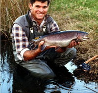 Clover Cottage Country Retreat - Kawana Tourism