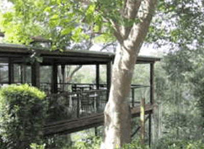 Watagan Lodge - Kawana Tourism 5