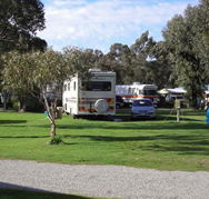 Pinjarra Caravan Park - Kawana Tourism