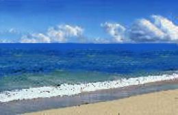 Cervantes Pinnacles Beachfront Caravan Park - Kawana Tourism 2
