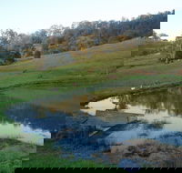 Barkeldine Farm Country Retreat - Kawana Tourism