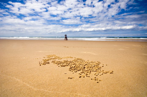 BIG4 Nambucca Beach Holiday Park - Kawana Tourism 1