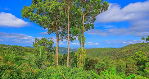 Cloud 9 Cliff Top Eagle Heights - Kawana Tourism 1