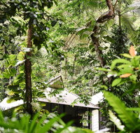 Daintree Ecolodge - Kawana Tourism