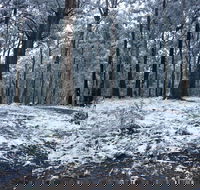 High Peaks Cottages - Kawana Tourism