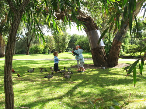 Kennett River Holiday Park - Kawana Tourism 1