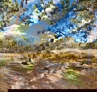 Kings Plains Creek campground - Kawana Tourism