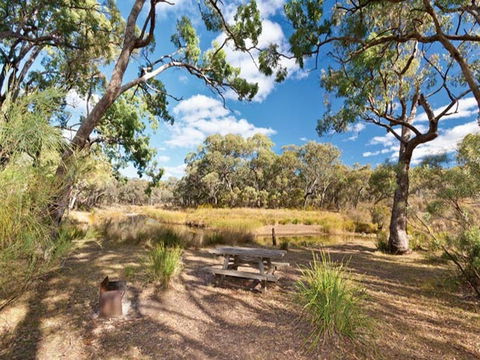 Kings Plains Creek Campground - Kawana Tourism 0