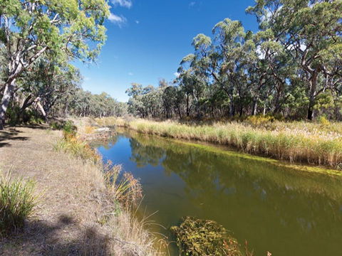 Kings Plains Creek Campground - Kawana Tourism 1