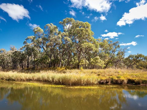 Kings Plains Creek Campground - Kawana Tourism 2