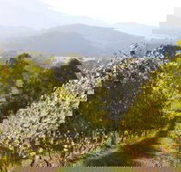 Rosetta's Garden Guesthouse - Kawana Tourism