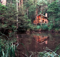 Woodlands Rainforest Retreat - Kawana Tourism