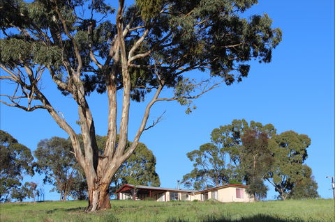 Clare View Accommodation - Clare View Cottage - Kawana Tourism 2