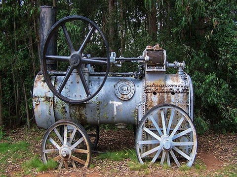 Dingo Tops Campground - Kawana Tourism 1