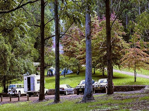 Dingo Tops Campground - Kawana Tourism 2
