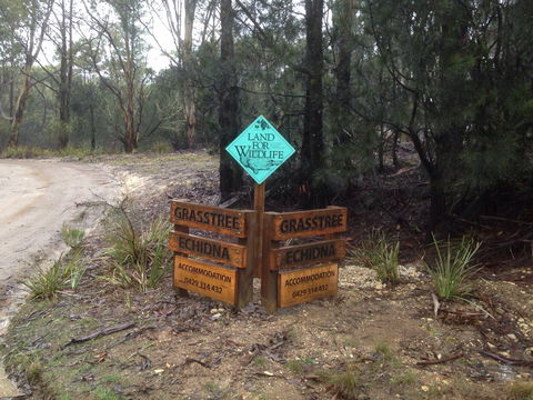 Echidna On Bruny - Kawana Tourism 1