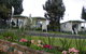 Hamilton Caravan Park - thumb 0