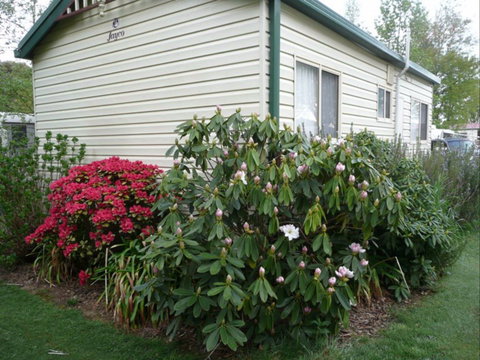 Jenolan Caravan Park - Kawana Tourism 0