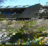 Melaleuca - Eco and Pet Friendly  Harbor Point Cabins - Kawana Tourism