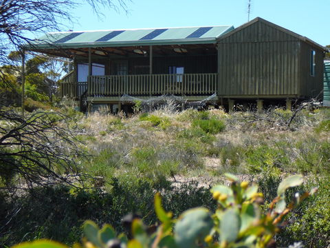 Melaleuca - Eco And Pet Friendly,  Harbor Point Cabins - Kawana Tourism 0