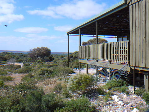 Melaleuca - Eco And Pet Friendly,  Harbor Point Cabins - Kawana Tourism 1