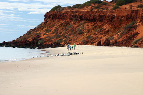 South Gregories Camp At Francois Peron National Park - Kawana Tourism 0