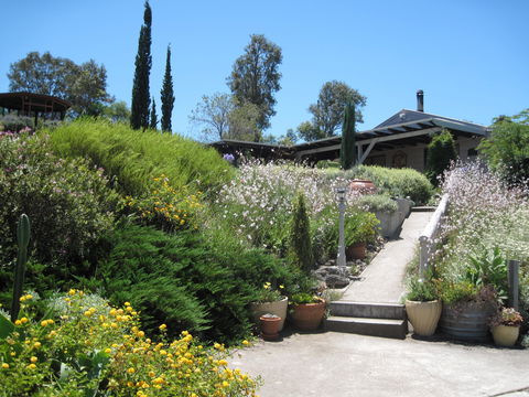 Valley View Cottage Hunter Valley - Kawana Tourism 0