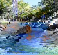 Big4 Aussie Outback Oasis Holiday Park - Kawana Tourism