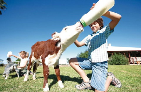 Charlotte Plains - Kawana Tourism 1