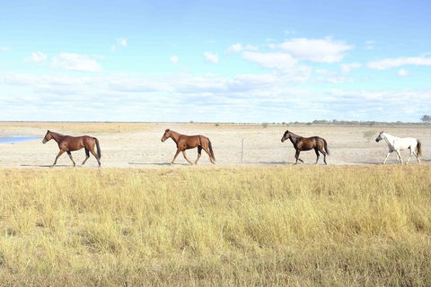 Charlotte Plains - Kawana Tourism 2