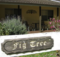 Figtree Cottage - Kawana Tourism