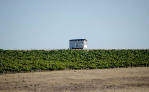 Hounds Run Vineyard - Kawana Tourism 0